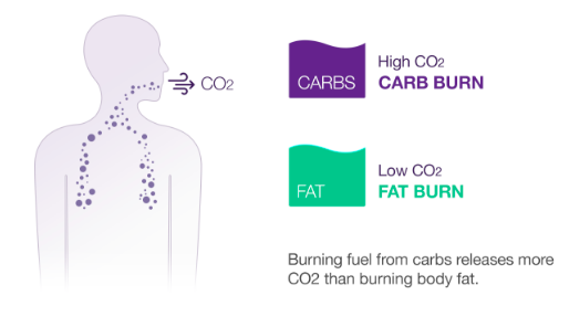 Carbon dioxide as a proxy for carbohydrate metabolism